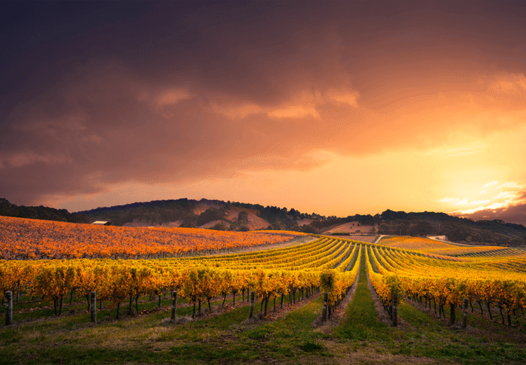 Sans-titre-1_0001_shutterstock_658729090.png