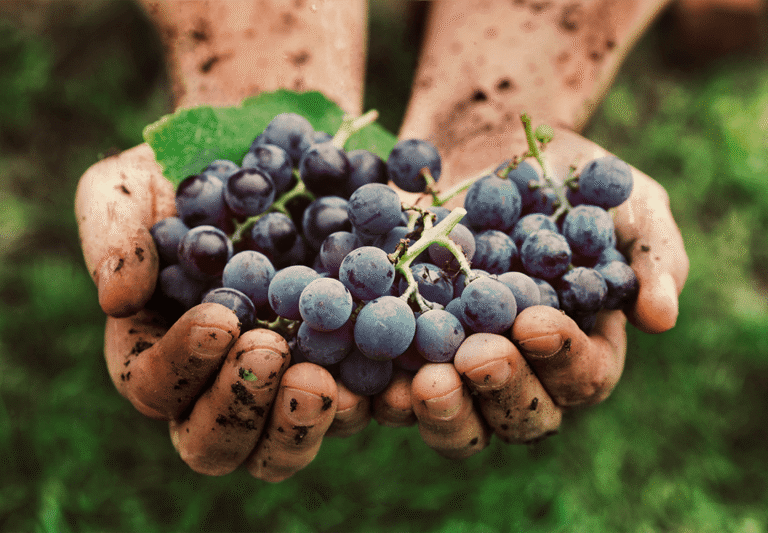 Sans-titre-1_0006_shutterstock_258710444.png