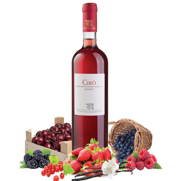 Cirò Rosato DOC “Timpa Bianca”-Tenuta Iuzzolini - immagine 2