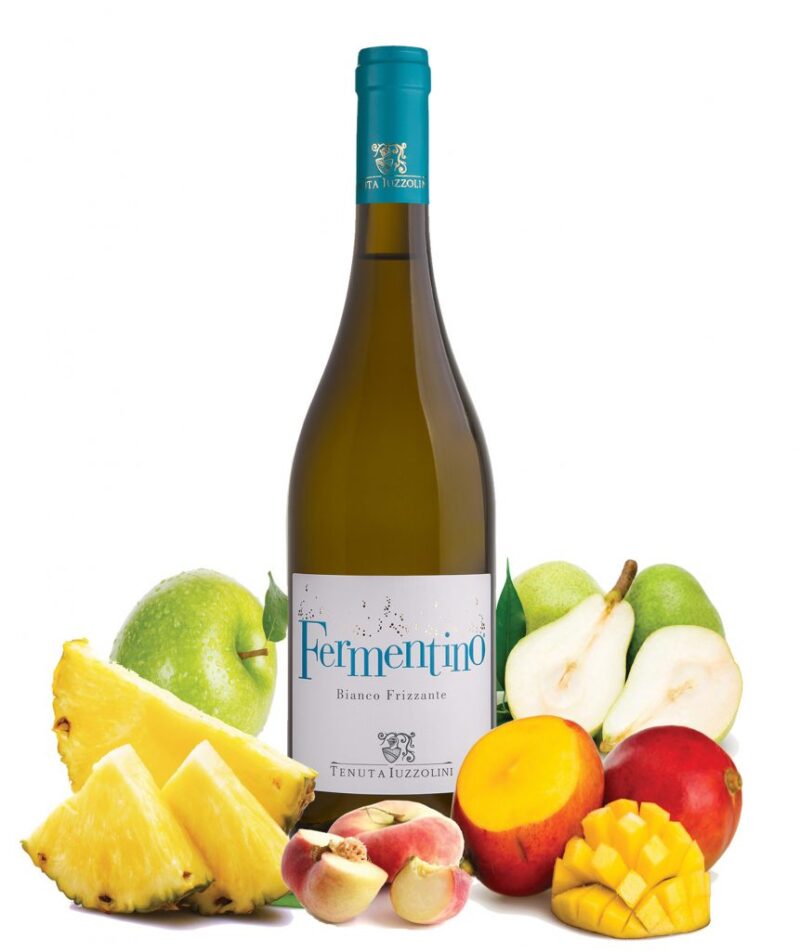 Fermentino Cirò Bianco Frizzante-Tenuta Iuzzolini - immagine 2