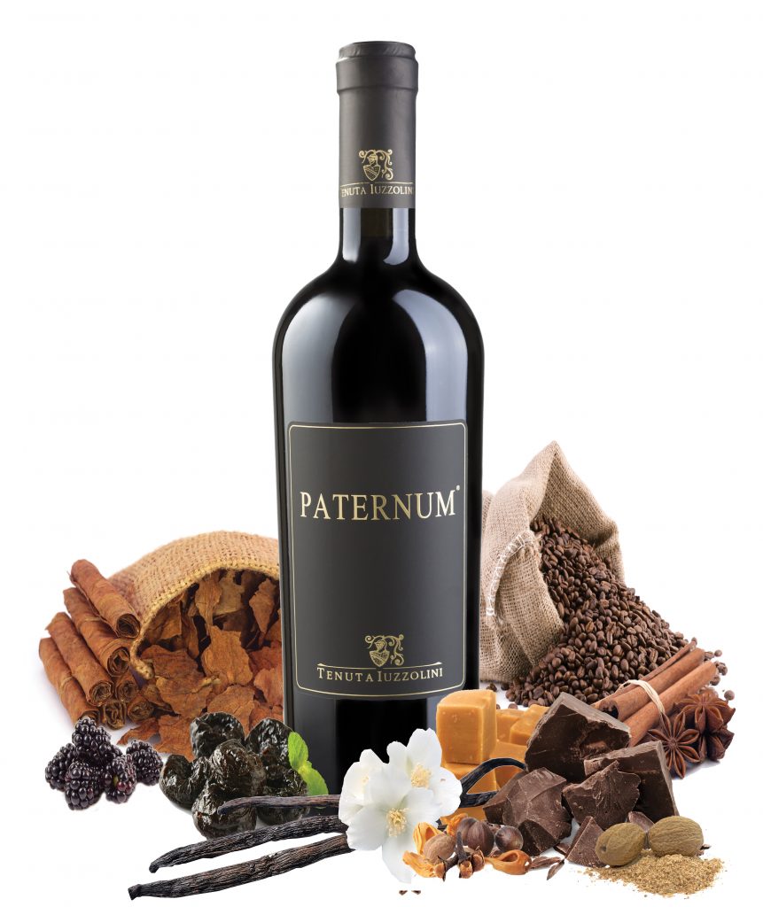 Paternum Magliocco -Tenuta Iuzzolini - immagine 2