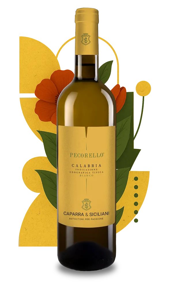 Pecorello Calabria IGT-Caparra & Siciliani - immagine 2